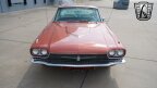 Thumbnail Photo 6 for 1966 Ford Thunderbird