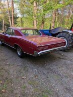Thumbnail Photo 3 for 1966 Pontiac GTO