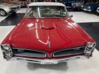 Thumbnail Photo 3 for 1966 Pontiac GTO