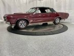 Thumbnail Photo 5 for 1966 Pontiac GTO