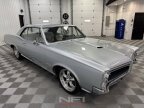 Thumbnail Photo 5 for 1966 Pontiac GTO