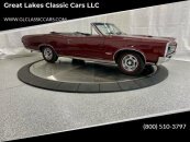 1966 Pontiac GTO