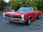 Thumbnail Photo 2 for 1966 Pontiac Le Mans