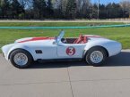 Thumbnail Photo 4 for 1966 Shelby Cobra