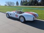 Thumbnail Photo 5 for 1966 Shelby Cobra