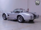 Thumbnail Photo 3 for 1966 Shelby Cobra