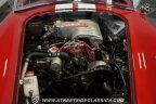 Thumbnail Photo 2 for 1966 Shelby Cobra