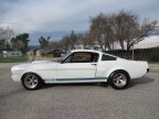 Thumbnail Photo 2 for 1966 Shelby GT350