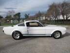 Thumbnail Photo 5 for 1966 Shelby GT350