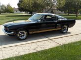 1966 Shelby GT350