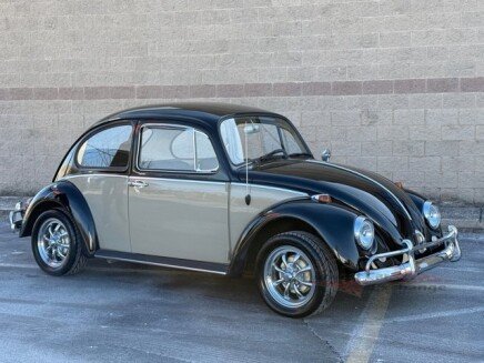 Photo 1 for 1966 Volkswagen Beetle