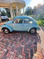 Thumbnail Photo 4 for 1966 Volkswagen Beetle