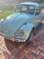 Thumbnail Photo 3 for 1966 Volkswagen Beetle