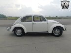 Thumbnail Photo 3 for 1966 Volkswagen Beetle