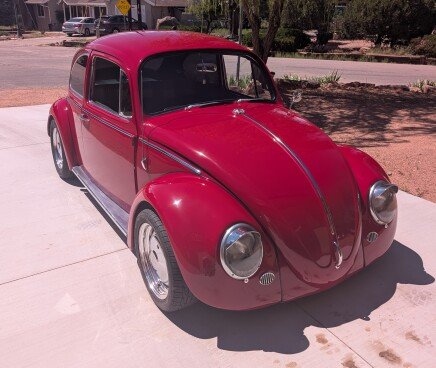 Photo 1 for 1966 Volkswagen Beetle Coupe for Sale by Owner