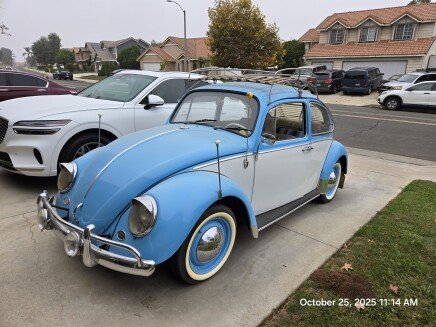 Photo 1 for 1966 Volkswagen Beetle Coupe for Sale by Owner