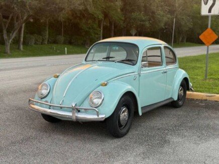 Photo 1 for 1966 Volkswagen Beetle