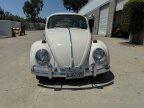 Thumbnail Photo 4 for 1966 Volkswagen Beetle