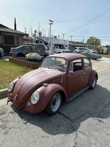 1966 Volkswagen Beetle