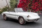 Thumbnail Photo 1 for 1967 Alfa Romeo Giulia