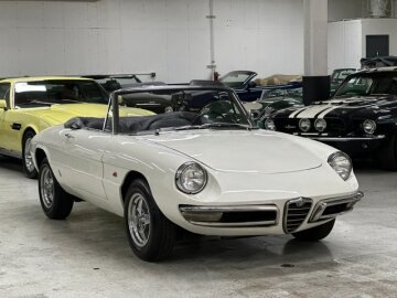 1967 Alfa Romeo Spider