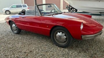1967 Alfa Romeo Spider