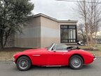 Thumbnail Photo 3 for 1967 Austin-Healey 3000MKIII