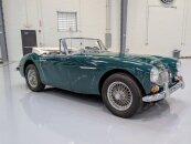 1967 Austin-Healey 3000MKIII