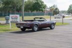 Thumbnail Photo 4 for 1967 Chevrolet Camaro