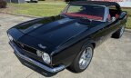 Thumbnail Photo 6 for 1967 Chevrolet Camaro SS