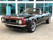 1967 Chevrolet Camaro SS