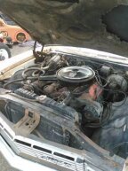 Thumbnail Photo 3 for 1967 Chevrolet Caprice