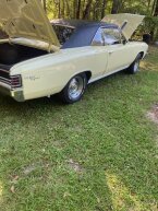 Thumbnail Photo 6 for 1967 Chevrolet Chevelle SS