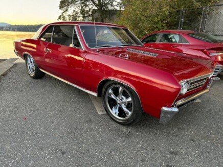 Photo 1 for 1967 Chevrolet Chevelle