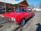 Thumbnail Photo 2 for 1967 Chevrolet Chevelle SS
