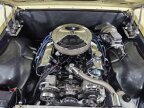 Thumbnail Photo 1 for 1967 Chevrolet Chevelle