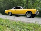 Thumbnail Photo 1 for 1967 Chevrolet Chevelle SS