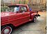 1967 Ford F100 2WD Regular Cab