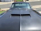 Thumbnail Photo 3 for 1967 Ford Mustang GT for Sale by Owner