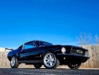 Thumbnail Photo 1 for 1967 Ford Mustang Fastback