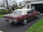 Thumbnail Photo 4 for 1967 Ford Mustang