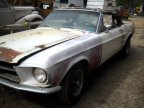 Thumbnail Photo 2 for 1967 Ford Mustang