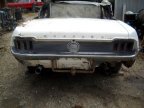 Thumbnail Photo 5 for 1967 Ford Mustang