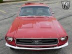 Thumbnail Photo 3 for 1967 Ford Mustang
