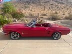 Thumbnail Photo 6 for 1967 Ford Mustang