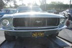 Thumbnail Photo 1 for 1967 Ford Mustang