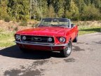 Thumbnail Photo 2 for 1967 Ford Mustang