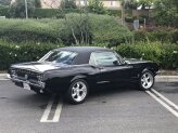1967 Ford Mustang GT