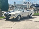 1967 Ford Mustang Shelby GT350