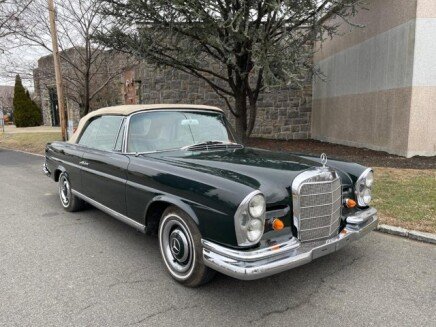 Photo 1 for 1967 Mercedes-Benz 250SE